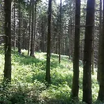 Alpenklub 3* Vordernberg