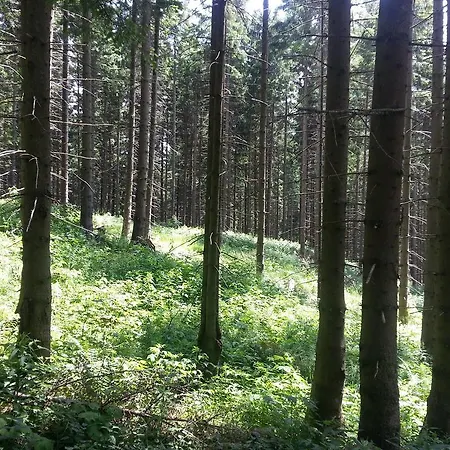 Alpenklub 3* Vordernberg