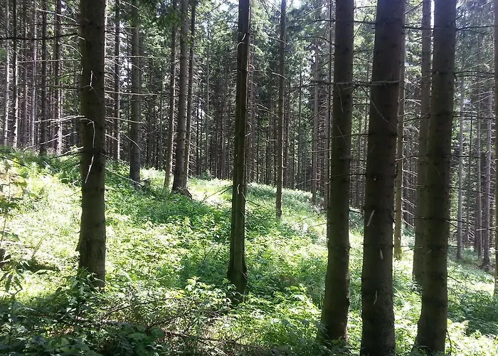 Alpenklub 3* Vordernberg