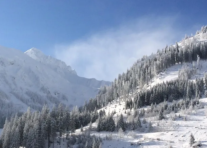 Alpenklub بيت ضيافة Vordernberg